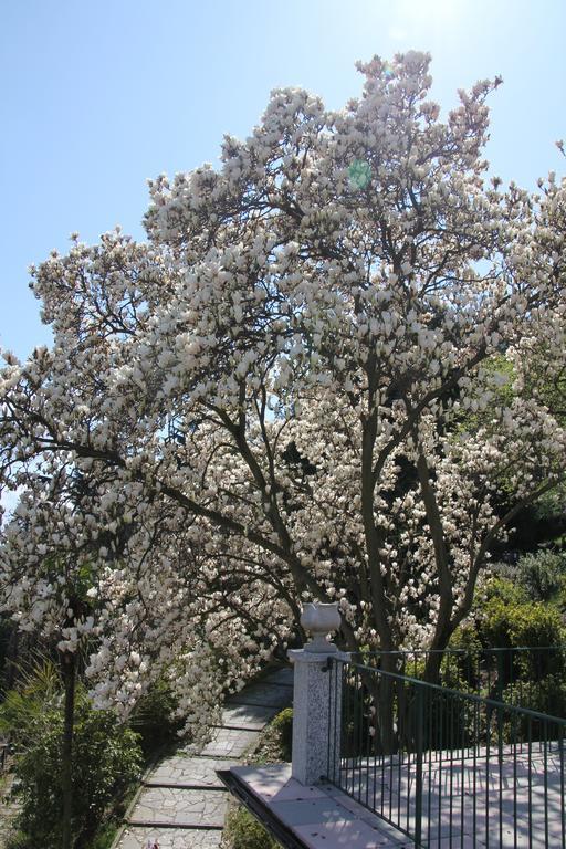 La Ciliegia Bianca Bed and Breakfast Belgirate Εξωτερικό φωτογραφία
