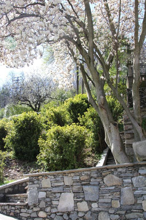 La Ciliegia Bianca Bed and Breakfast Belgirate Εξωτερικό φωτογραφία