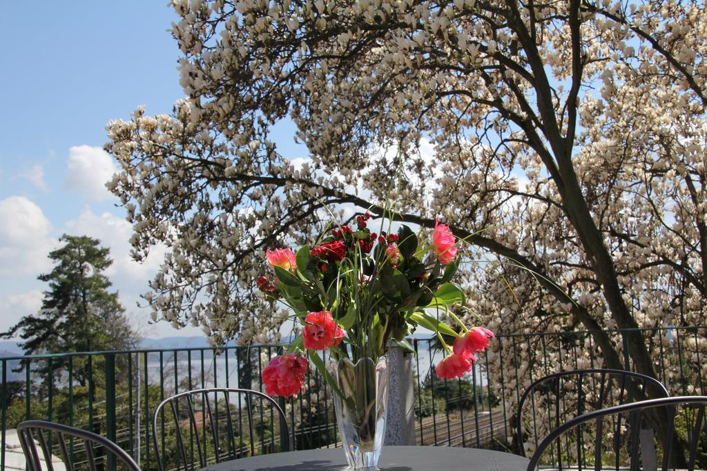 La Ciliegia Bianca Bed and Breakfast Belgirate Εξωτερικό φωτογραφία